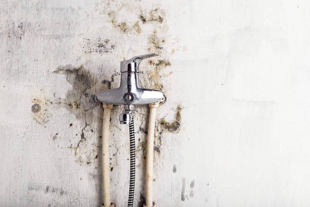 Best Mold Removal Process  in Moundridge, KS