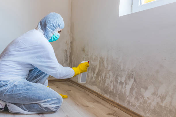 Best Commercial Mold Removal  in Moundridge, KS