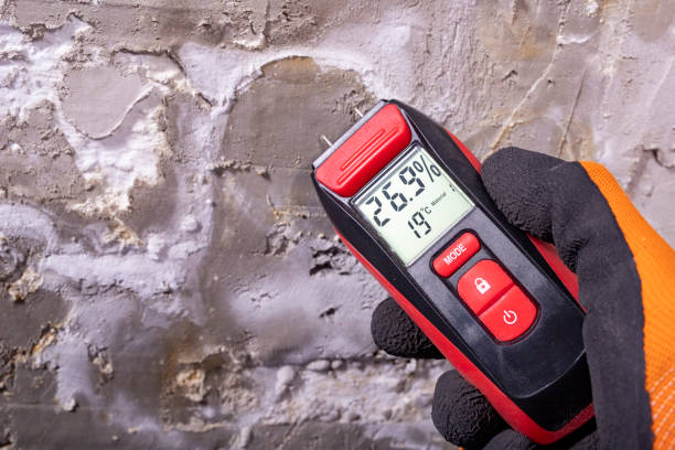 Best Black Mold Removal  in Moundridge, KS