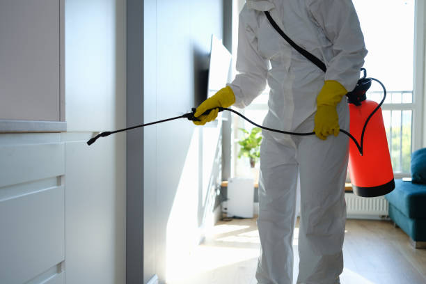 Best Emergency Mold Removal  in Moundridge, KS