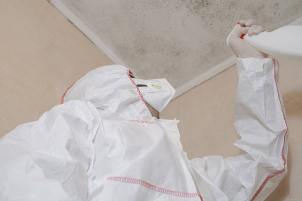 Best Toxic Mold Removal  in Moundridge, KS